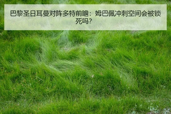 ba-li-sheng-ri-er-man-dui-zhen-duo-te-qian-zhan-mu-ba-pei-chong-ci-kong-jian-hui-bei-suo-si-ma-2-292.jpg